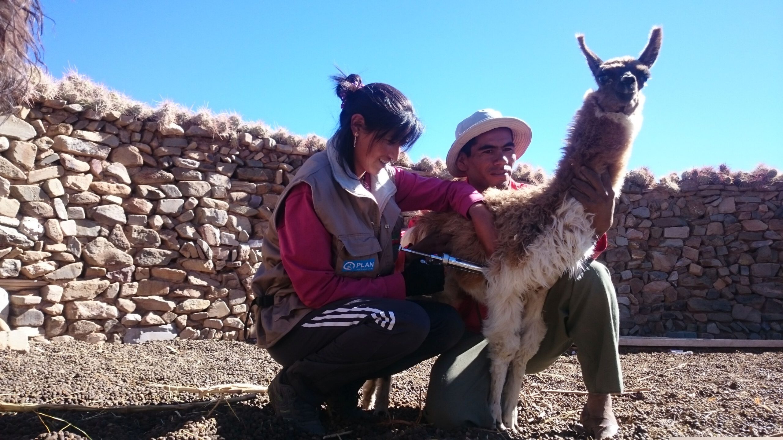 GNO0478_Veterinärkits_Plan International_Bild stammt aus einem ähnlichen Plan-Projekt in Bolivie_Bild1